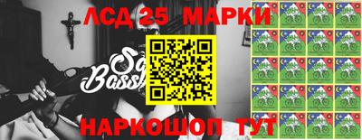 гидропоника Сланцы