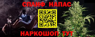 apvp Славгород