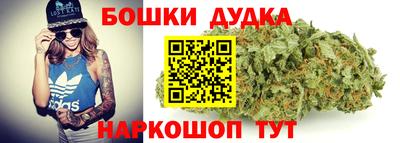 гидропоника Сланцы