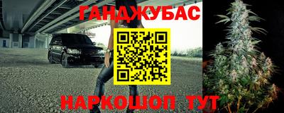 apvp Славгород